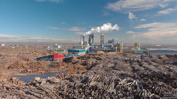 Aerial image of a woodworking plant with piles of logs around — Stock Image Aerial Image Woodworking Plant Piles Logs Royalty Free Stock Images