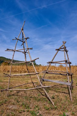 Mısır tarlasında saman kurutmak için kullanılan boş iskeleler veya çerçeveler