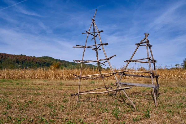 Mısır tarlasında saman kurutmak için kullanılan boş iskeleler veya çerçeveler