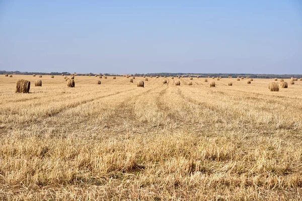 Heuballen Auf Einem Feld Frühherbst — Stockfoto