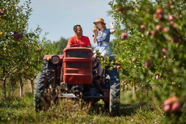 Çiftçi çift elma bahçesi ile traktör sürüş