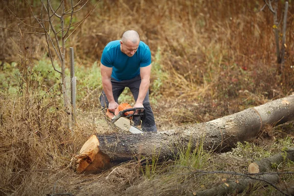 Strong Lumberjack Chainsaw Working Logs — Stock Photo, Image