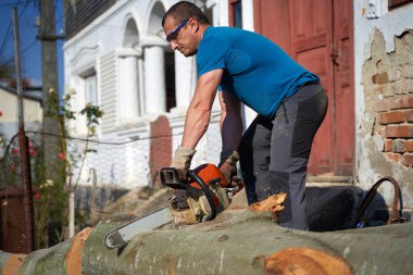 Elektrikli testereli güçlü bir oduncu, kayın kütükleri üzerinde çalışıyor.
