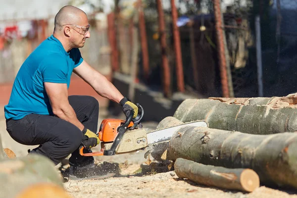 带链锯的实力雄厚的伐木工 工作在山毛榉原木上 — 图库照片