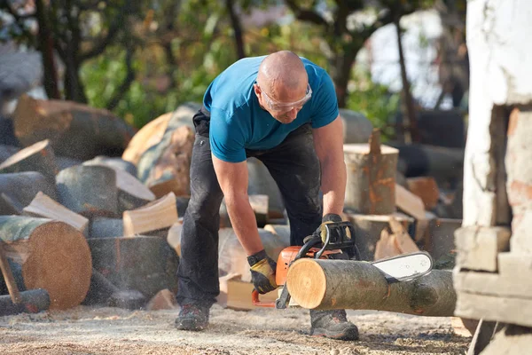 Strong Lumberjack Chainsaw Working Beech Logs — 스톡 사진