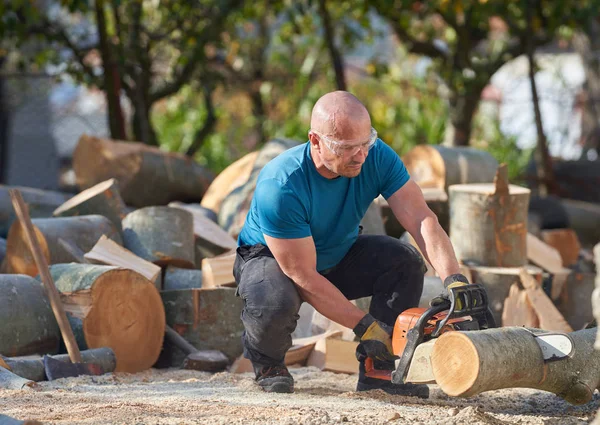 Fuerte Leñador Con Motosierra Trabajando Troncos Haya — Foto de Stock