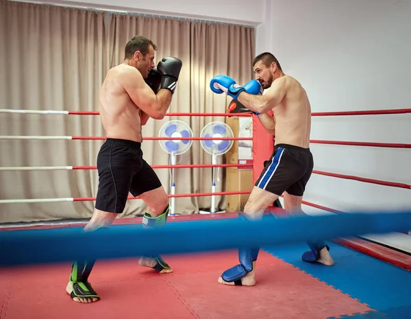 Dois Lutadores Kickbox Lutando Ringue — Fotografia de Stock