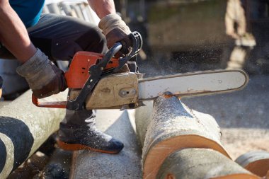 Elektrikli testereli oduncu kayın kütükleri kesiyor, yakın çekim görüntüsü 