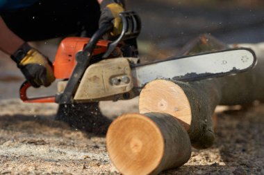 Elektrikli testereli oduncu kayın kütükleri kesiyor, yakın çekim görüntüsü 