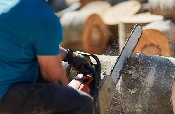 Lumberjack Com Motosserra Corte Troncos Faia Vista Close — Fotografia de Stock