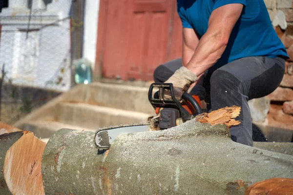 Madera Aserrada Con Motosierra Cortando Troncos Haya Vista Primer Plano —  Fotos de Stock