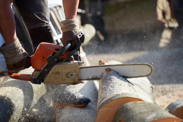 Lumberjack Chainsaw Cutting Beech Logs Closeup View — Stock Photo, Image