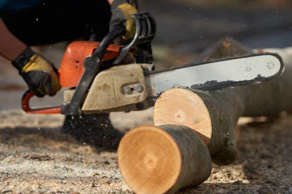 Lumberjack Com Motosserra Corte Troncos Faia Vista Close — Fotografia de Stock