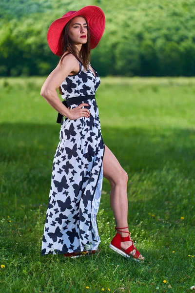 Modelo Beleza Lindo Vestido Verão Posando Livre Uma Floresta Carvalho — Fotografia de Stock