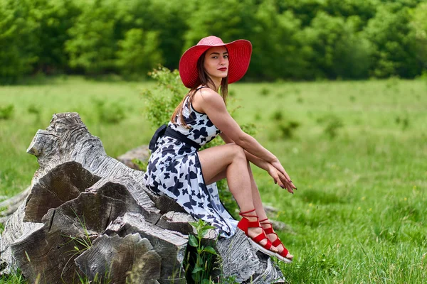 Hermosa Modelo Belleza Vestido Verano Posando Aire Libre Bosque Robles — Foto de Stock