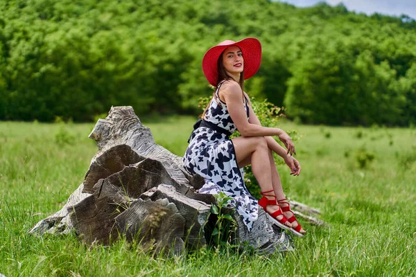 Modelo Beleza Lindo Vestido Verão Posando Livre Uma Floresta Carvalho — Fotografia de Stock