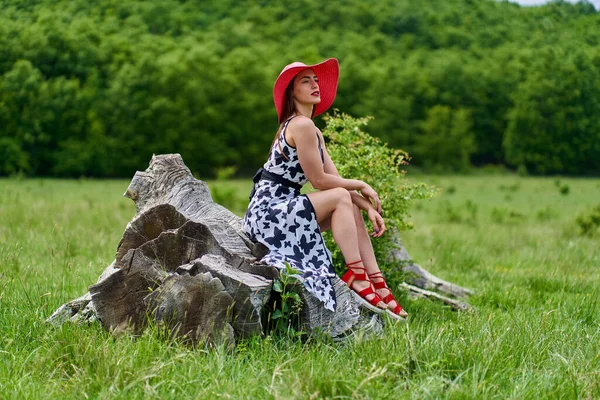 Wspaniały Model Piękna Letniej Sukience Pozowanie Zewnątrz Dębowym Lesie — Zdjęcie stockowe