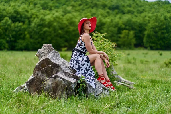 Prachtige Schoonheid Model Zomer Jurk Poseren Buiten Een Eiken Bos — Stockfoto