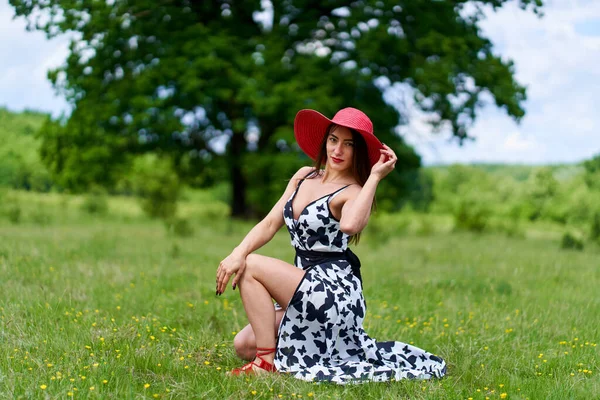 Modelo Beleza Lindo Vestido Verão Posando Livre Uma Floresta Carvalho — Fotografia de Stock