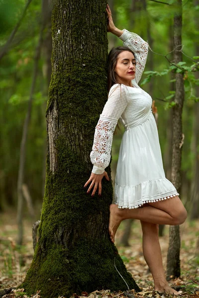 Prachtige Schoonheid Model Zomer Jurk Poseren Buiten Een Eiken Bos — Stockfoto