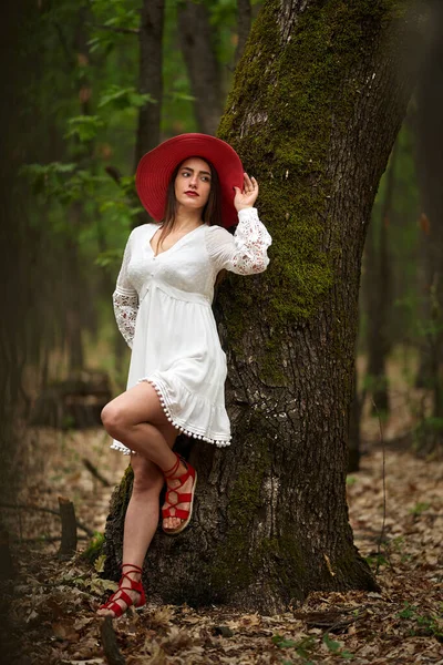 Gorgeous Beauty Model Summer Dress Posing Outdoor Oak Forest — Stock Photo, Image