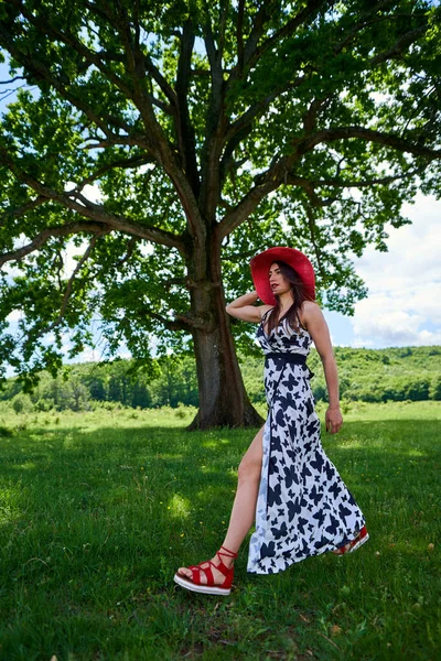 Hermosa Modelo Belleza Vestido Verano Posando Aire Libre Bosque Robles —  Fotos de Stock