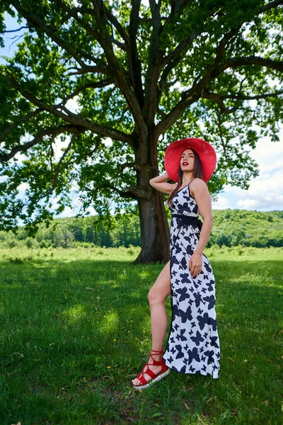 Modelo Beleza Lindo Vestido Verão Posando Livre Uma Floresta Carvalho — Fotografia de Stock