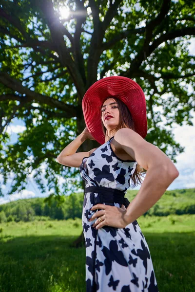 Modelo Beleza Lindo Vestido Verão Posando Livre Uma Floresta Carvalho — Fotografia de Stock