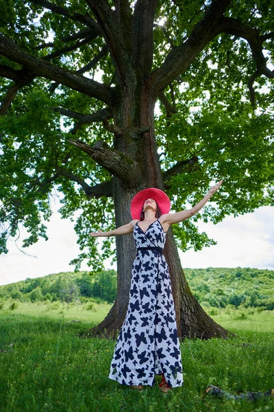 Modelo Beleza Lindo Vestido Verão Posando Livre Uma Floresta Carvalho — Fotografia de Stock