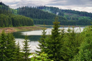 Çam ormanlarıyla kaplı dağlar arasında güzel bir göl olan yaz manzarası.