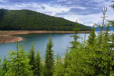 Summer landscape with a beautiful lake between mountains covered in pine forests clipart