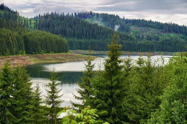 松林に覆われた山々の間に美しい湖と夏の風景 — ストック写真