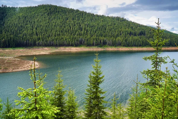 Letni Krajobraz Pięknym Jeziorem Między Górami Porośniętymi Lasami Sosnowymi — Zdjęcie stockowe