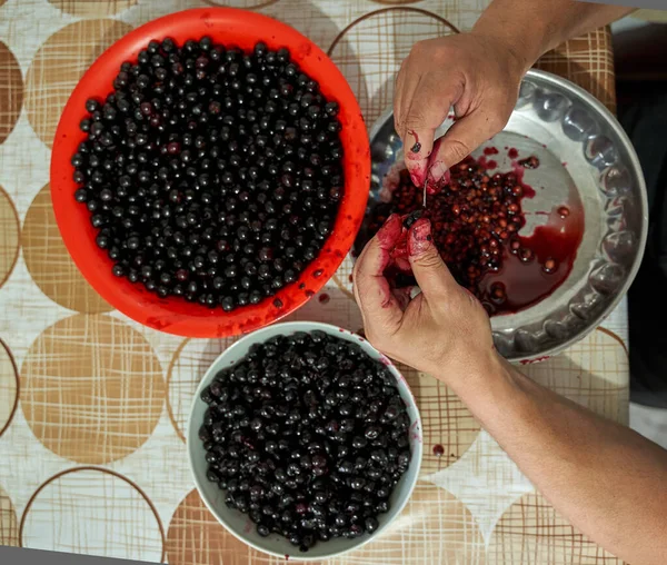 Man Pitting Black Wild Bitter Cherries Jam — Stock Photo, Image