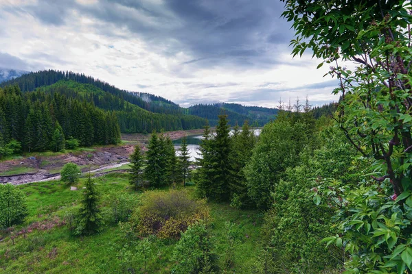 Paisaje Verano Con Hermoso Lago Entre Montañas Cubiertas Bosques Pinos —  Fotos de Stock