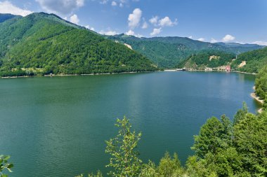 Güzel bir yaz gününde bir dağ gölü manzarası.