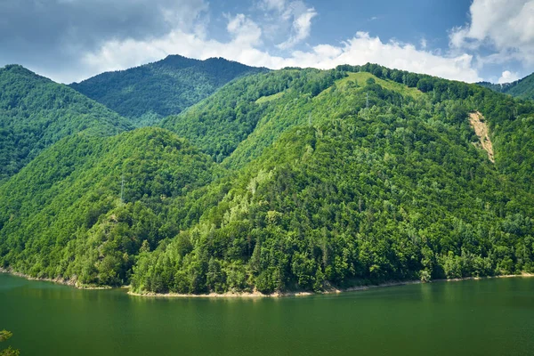 Güzel Bir Yaz Gününde Bir Dağ Gölü Manzarası — Stok fotoğraf