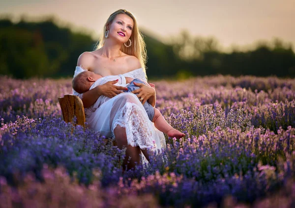 Young Mother Breastfeeding Her Son Lavender Garden — ストック写真