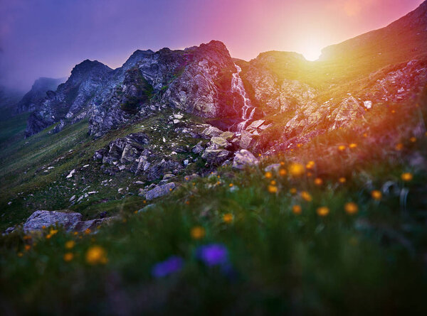 Una Cascada Las Montañas Atardecer Con Campo Flores Silvestres Primer — Foto de Stock