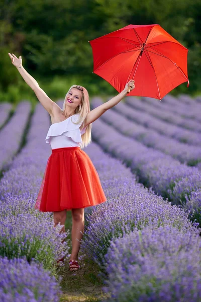 Mooie Jonge Vrouw Met Rode Paraplu Rok Een Lavendel Plantage — Stockfoto