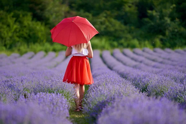 Lavanta Tarlasında Kırmızı Şemsiyeli Etekli Güzel Bir Kadın — Stok fotoğraf