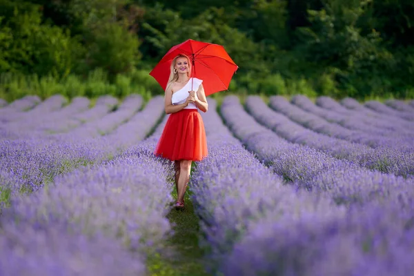 Hermosa Joven Con Paraguas Rojo Falda Una Plantación Lavanda Filas —  Fotos de Stock