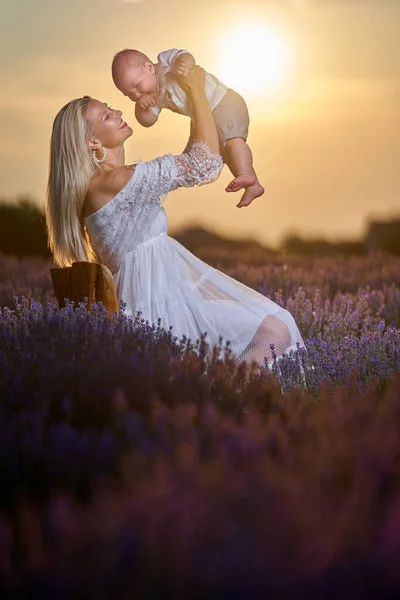 若いです母遊びで彼女の息子でラベンダー畑で日没 — ストック写真