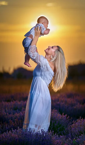 若いです母遊びで彼女の息子でラベンダー畑で日没 — ストック写真