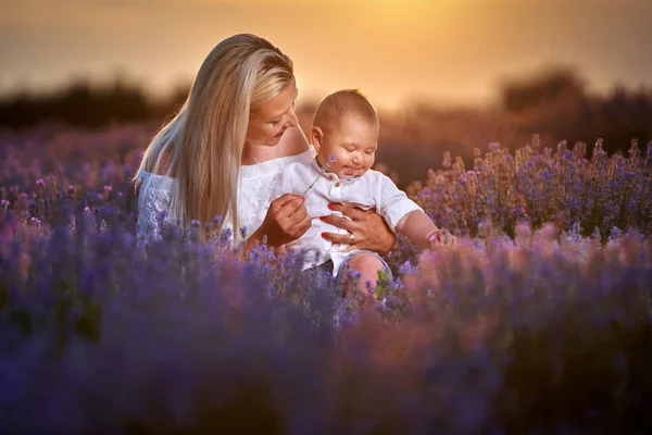 Jonge Moeder Speelt Met Haar Zoon Een Lavendelveld Bij Zonsondergang — Stockfoto