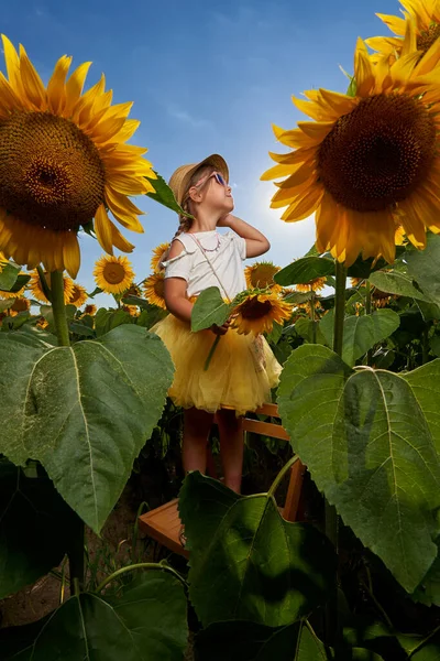 在向日葵地里戴着农民帽的可爱小女孩 — 图库照片