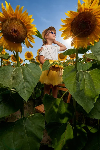 Cute Little Girl Kapeluszem Rolnika Polu Słonecznika — Zdjęcie stockowe