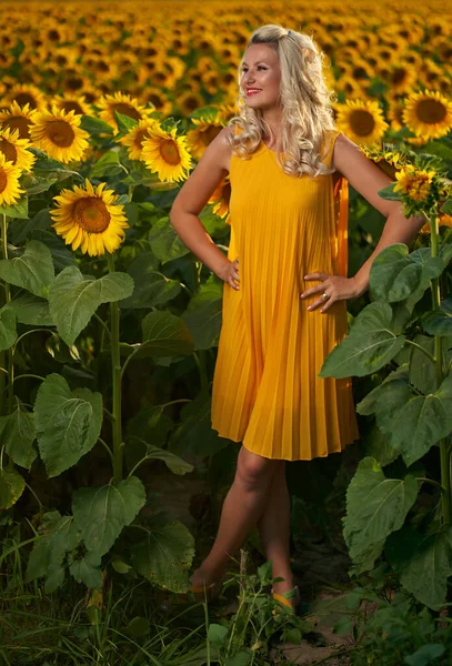 Vacker Blond Vit Kvinna Ett Solrosfält — Stockfoto