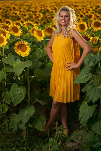 Beautiful blonde Caucasian woman in a sunflower field