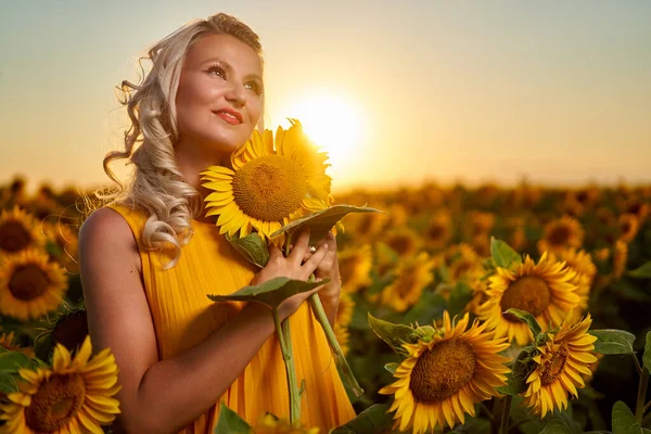 Mooie Blonde Blanke Vrouw Een Zonnebloem Veld Bij Zonsondergang — Stockfoto